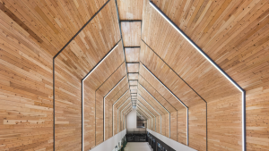mushroom farm