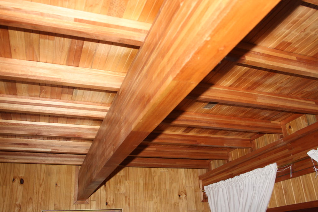 Saligna Glulam Beams